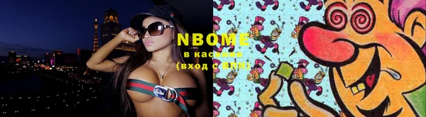 индика Аркадак