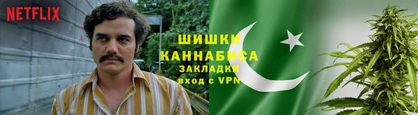 индика Аркадак
