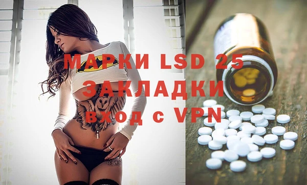 индика Аркадак