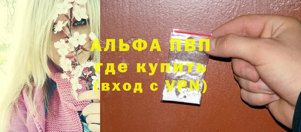 индика Аркадак