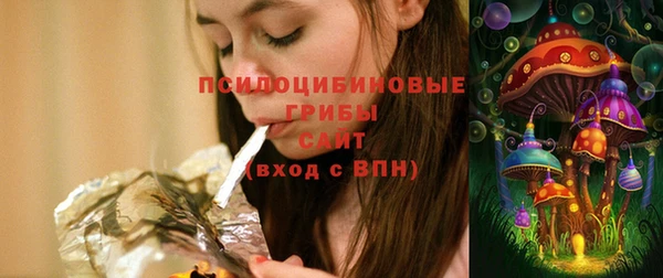 прущая мука Арсеньев