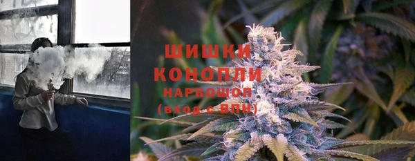 прущая мука Арсеньев