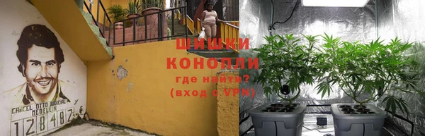 индика Аркадак