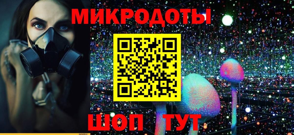 Спасск-Дальний  Галлюциногенные грибы Psilocybe  Вход с VPN 