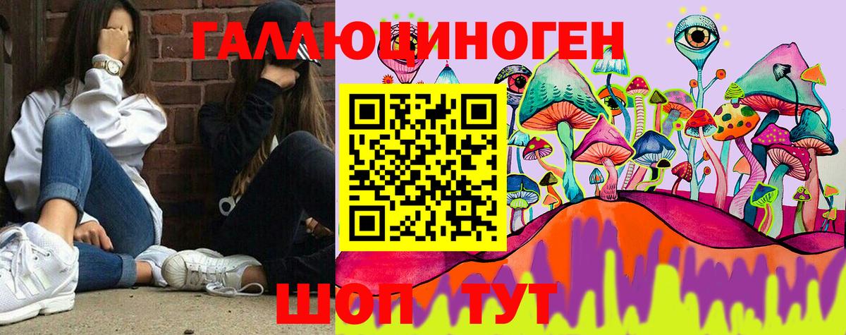 Псилоцибиновые грибы Psilocybe Спасск-Дальний